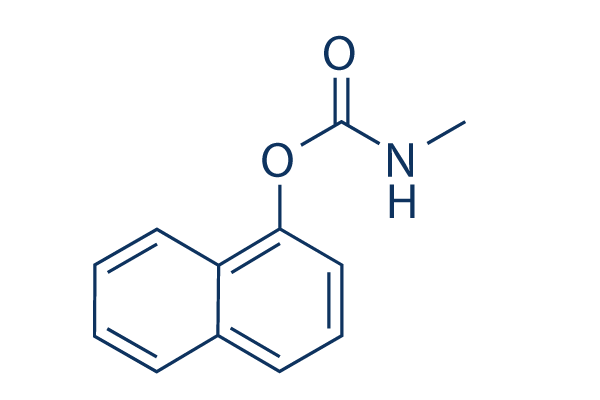 Carbaryl    CAS:63-25-2