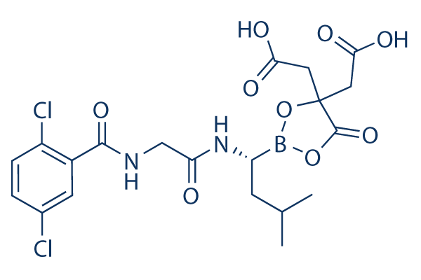 Ixazomib citrate (MLN9708)    CAS：1239908-20-3 