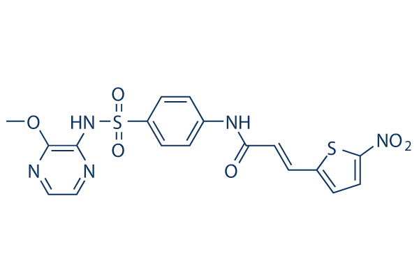 Necrosulfonamide   CAS:1360614-48-7