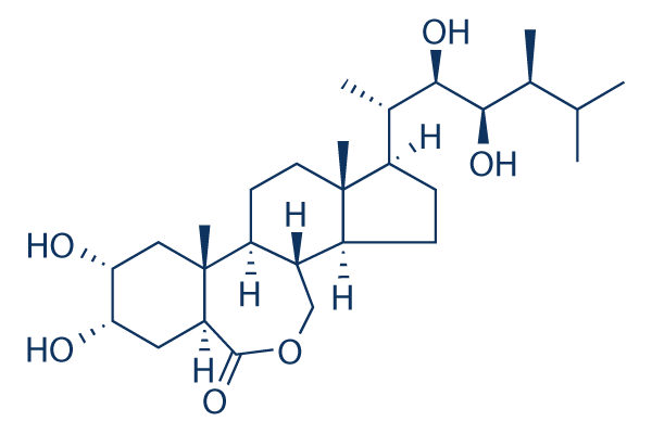 Brassinolide     CAS:72962-43-7 