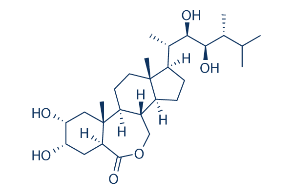 Epibrassinolide    CAS:78821-43-9 