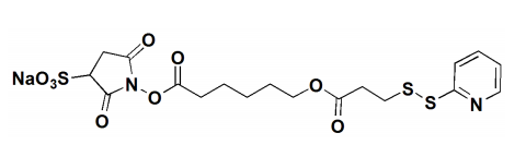 Sulfo-LC-SPDP Crosslinker 