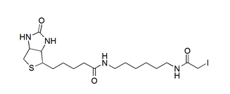 Iodoacetyl-LC-Biotin,cas:93285-75-7 