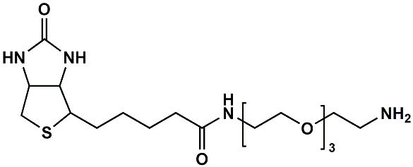 Biotin-PEG3-CH2CH2NH2,cas:359860-27-8