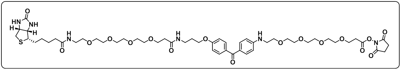 UV-Tracer Biotin NHS Ester,cas:1628029-01-5   