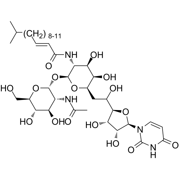 Tunicamycin     CAS:11089-65-9