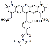 BP Fluor 594 NHS Ester  