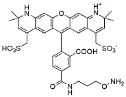 BP Fluor 568 Hydroxylamine  