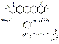 BP Fluor 568 Maleimide   