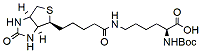 N-Boc-Biocytin,Cas:62062-43-5  