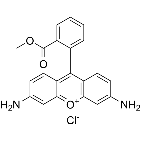 Rhodamine 123,CAS:62669-70-9 