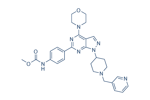 WYE-687   CAS: 1062161-90-3