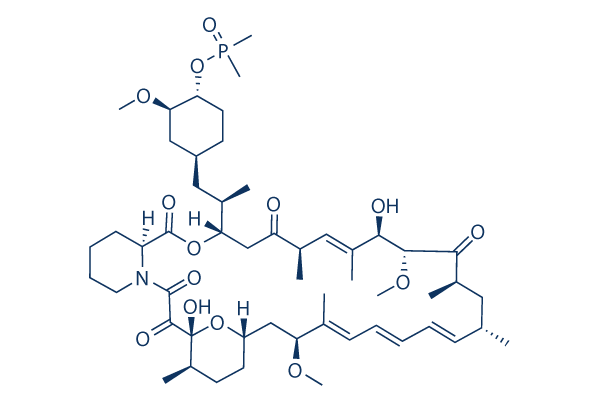 Ridaforolimus (Deforolimus, MK-8669)   CAS:572924-54-0