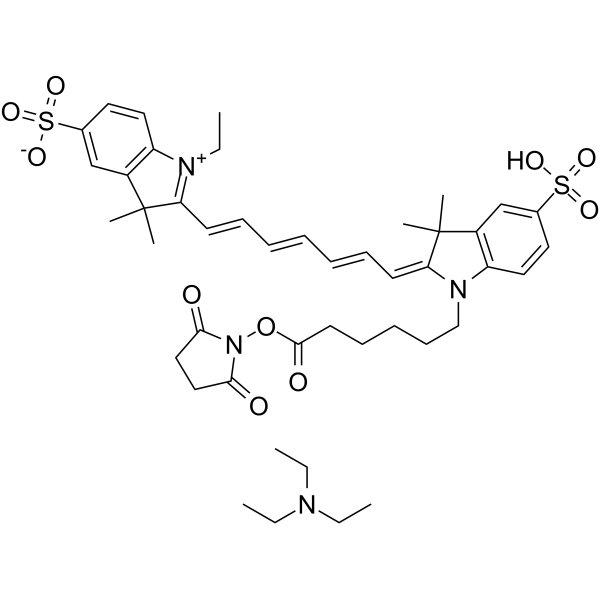 CY7-SE triethylamine 