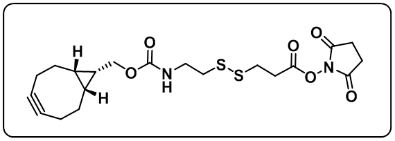 endo-BCN-SS-NHS ester 