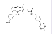 BDP TMR tetrazine