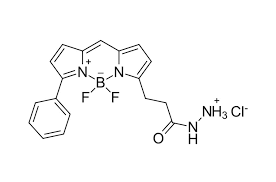 BDP R6G hydrazide 