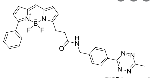 BDP R6G tetrazine 