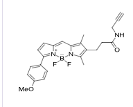 BDP-TMR-Alkyne  