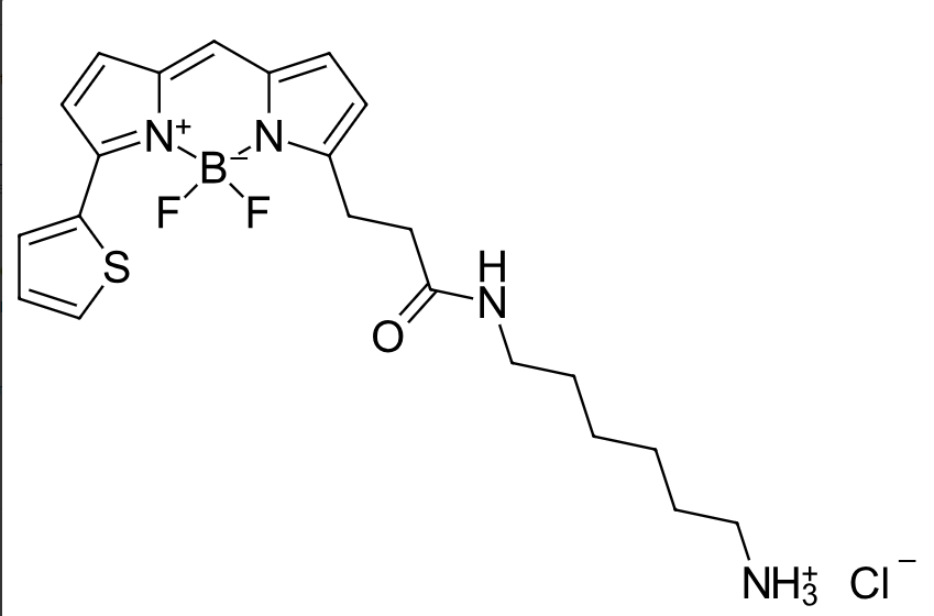 BDP 558/568 amine