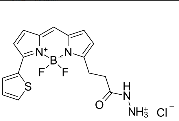 BDP 558/568 hydrazide