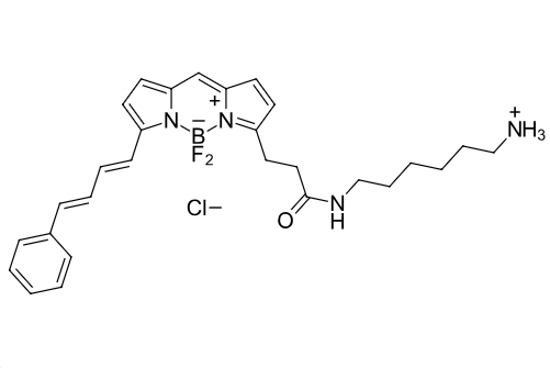 BDP-581/591-amine