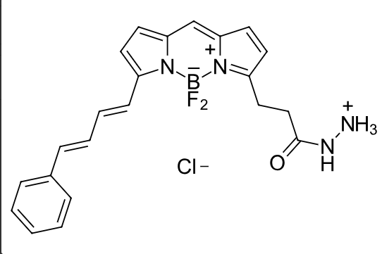 BDP-581/591-hydrazide  