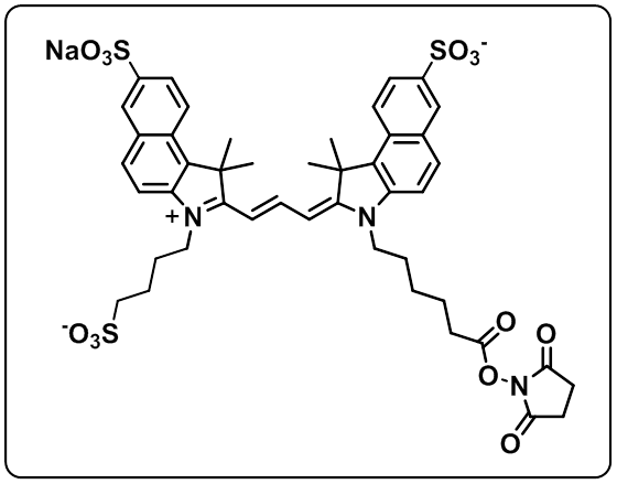 trisulfo-Cy3.5 NHS ester