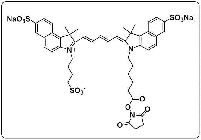 trisulfo-Cy5.5 NHS ester