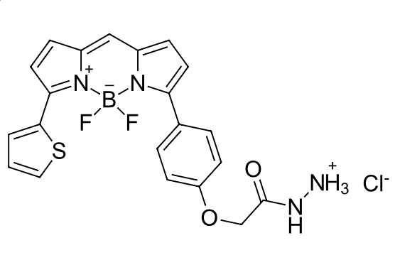 BDP TR hydrazide 