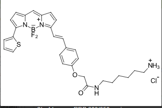 BDP-630/650-amine  