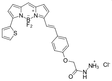 BDP-630/650-hydrazide   