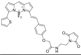 BDP-630/650-maleimide  