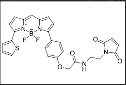 BDP-TR-maleimide