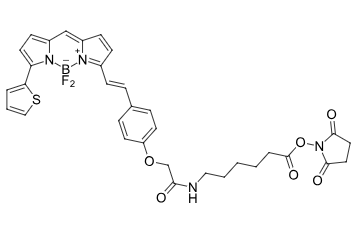 BDP 630/650 X NHS-Ester  