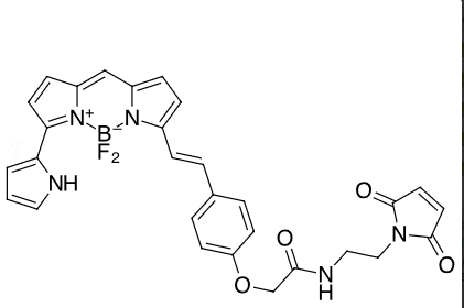 BDP 650/665 maleimide  