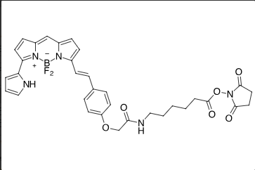 BDP 650/665 X NHS ester