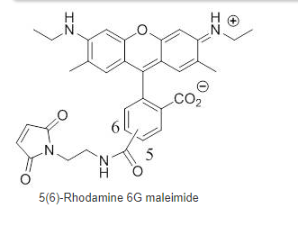 5(6)-Rhodamine 6G maleimide