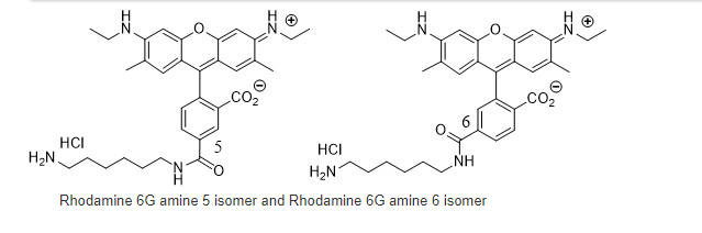 5(6)-Rhodamine 6G amine 