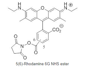 5(6)-Rhodamine 6G NHS ester