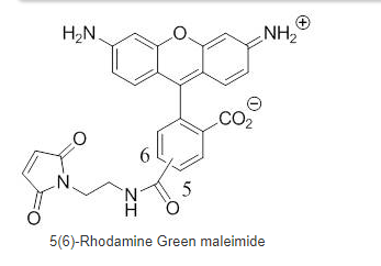 5(6)-Rhodamine Green maleimide