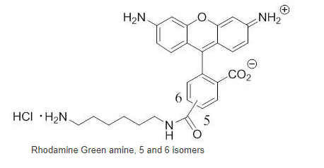 5(6)-Rhodamine Green amine  