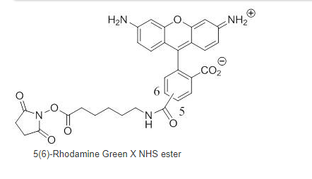 5(6)-Rhodamine Green X NHS ester