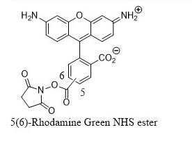 5(6)-Rhodamine Green NHS ester  