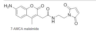 7-AMCA maleimide 