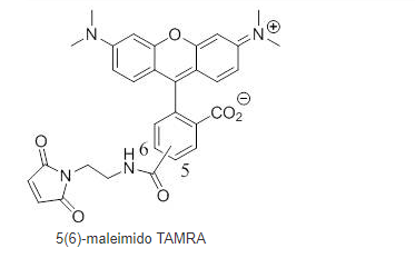 5(6)-TAMRA-maleimide 