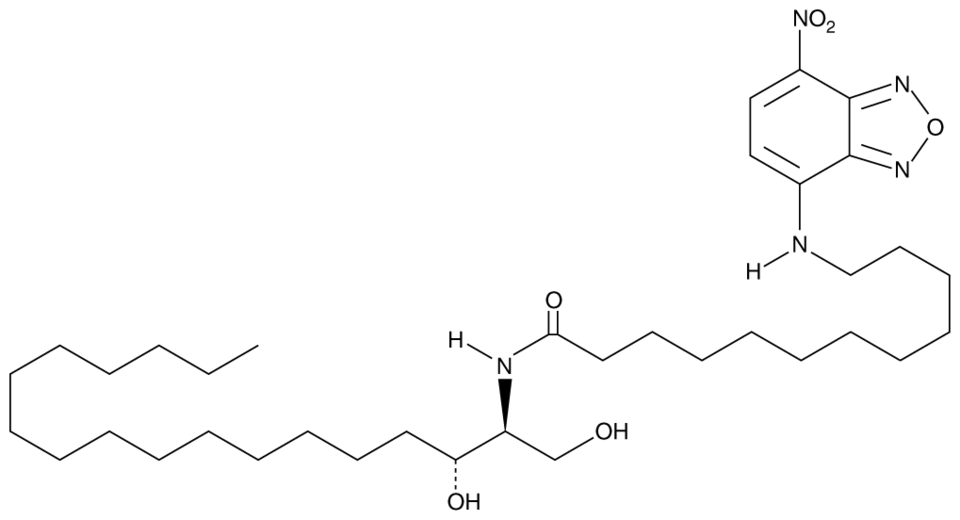 C12 NBD dihydro Ceramide