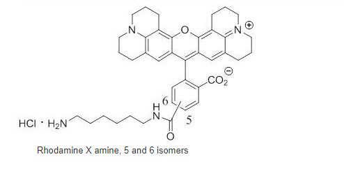 ROX amine 