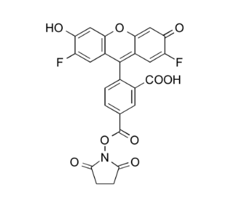 Difluorocarboxyfluorescein NHS Ester, 5-isomer