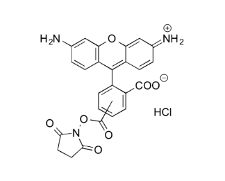 5(6)-Carboxyrhodamine 110 NHS Ester